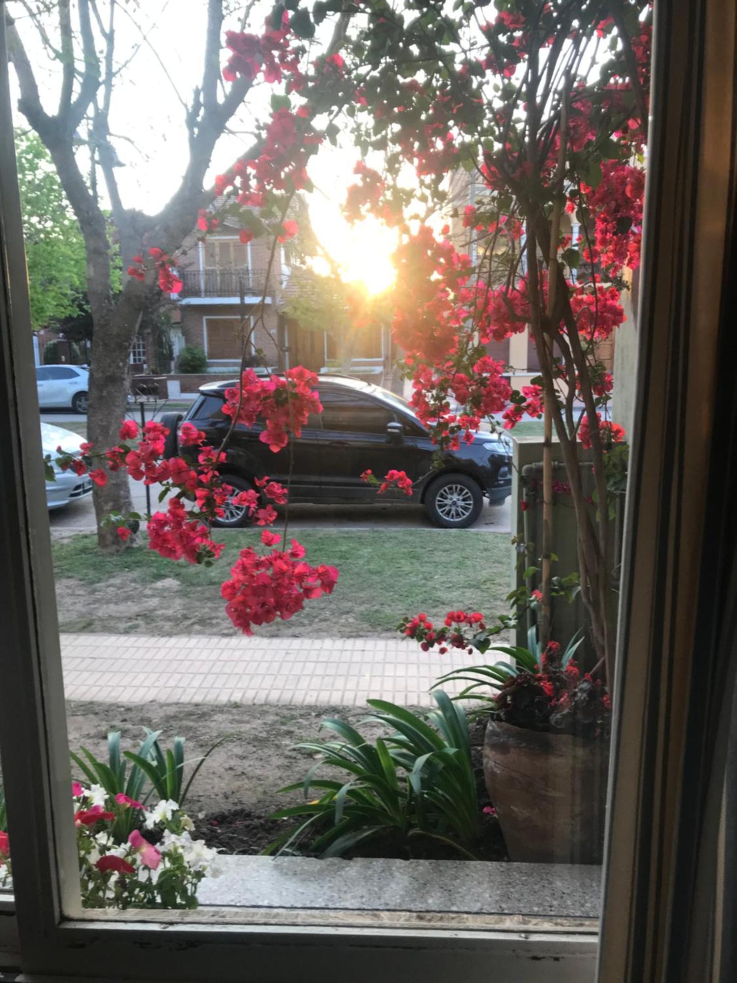 Apartment Boulevard Alsina 5 San Antonio de Areco